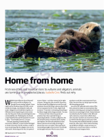 Home from home.pdf